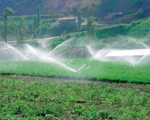 Sprinkler Irrigation System